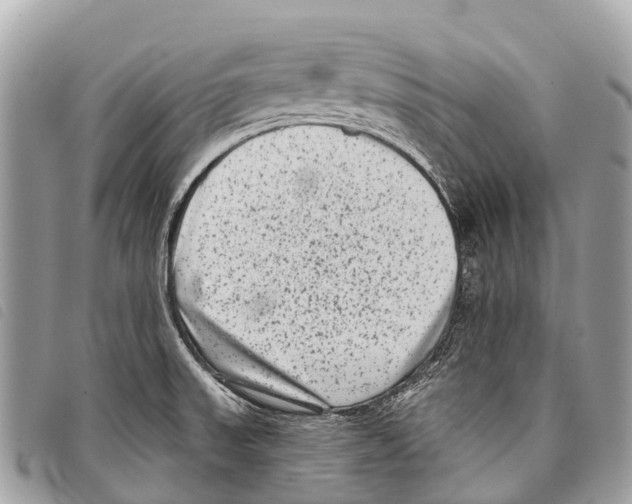 X0000097851523200804111116