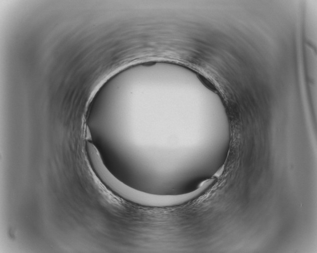 X0000097851524200804111116