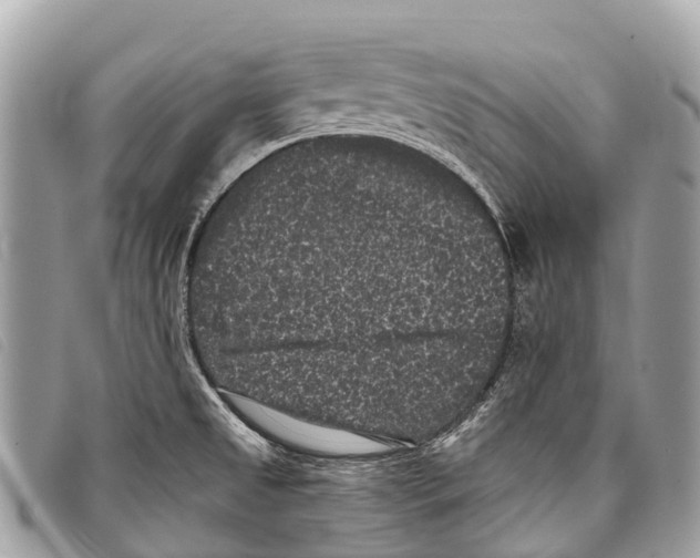 X0000097851525200804111116