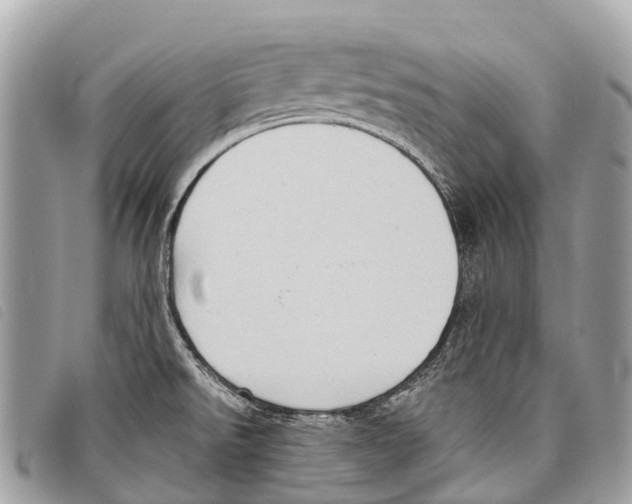 X0000097851526200804111116