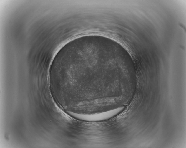 X0000097851527200804111116