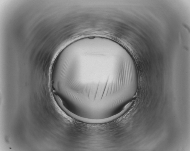 X0000097851528200804111116