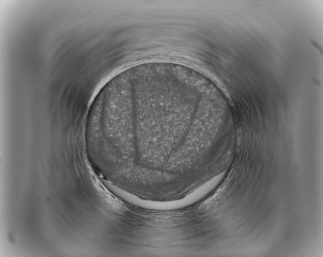 X0000097851530200804111116