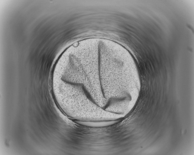 X0000097851531200804111116