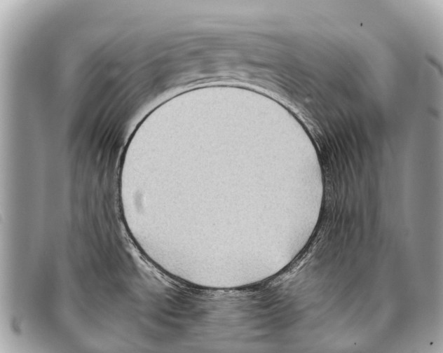 X0000097851534200804111116