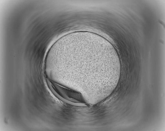 X0000097851536200804111116