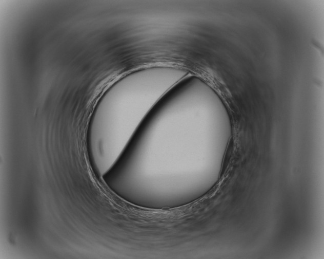 X0000097860001200803140906