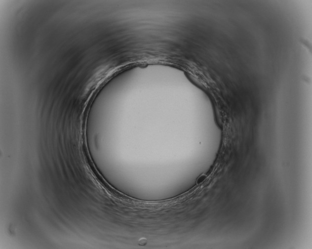 X0000097860002200803140906