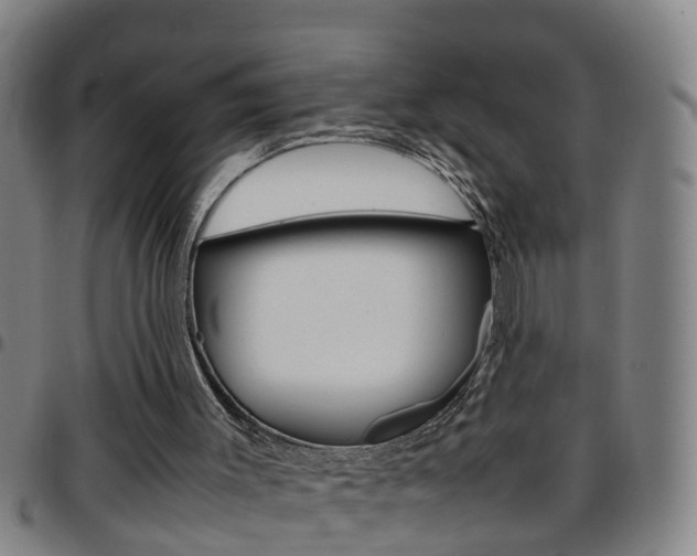 X0000097860003200803140906