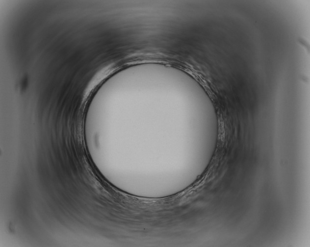 X0000097860004200803140906