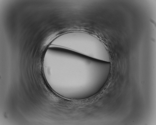 X0000097860005200803140906