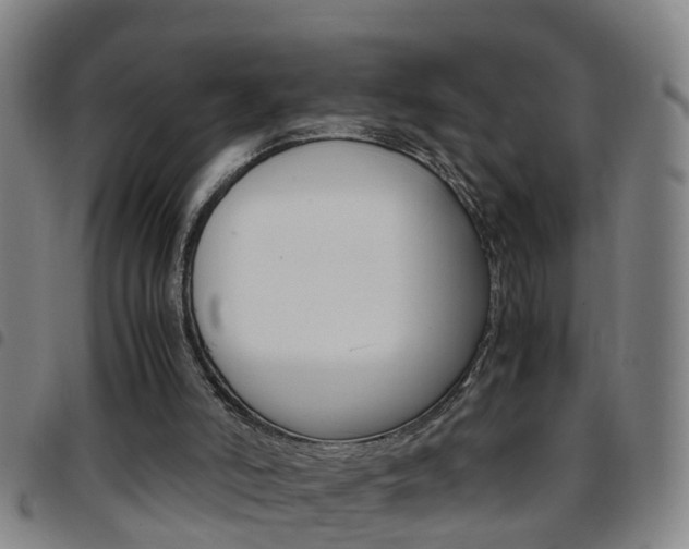 X0000097860006200803140906