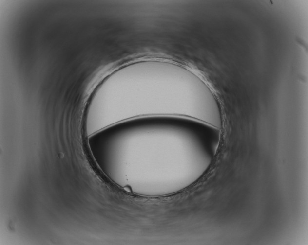 X0000097860007200803140906