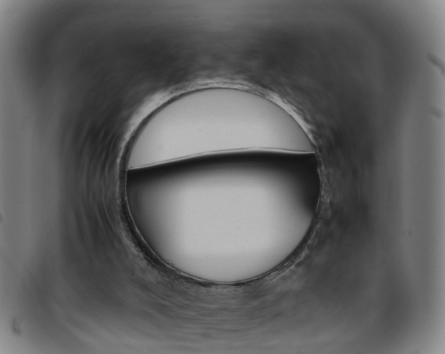 X0000097860008200803140906