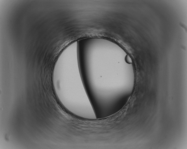 X0000097860009200803140906