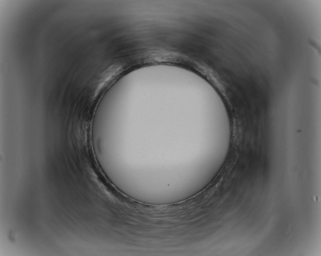 X0000097860010200803140906