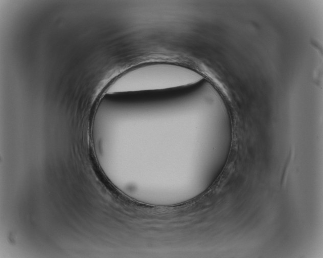 X0000097860011200803140906