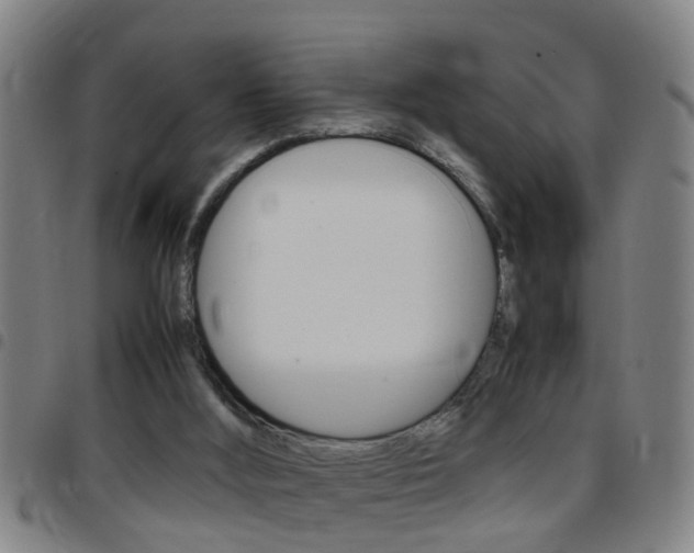 X0000097860012200803140906