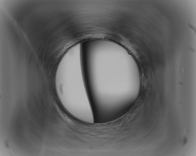 X0000097860013200803140906