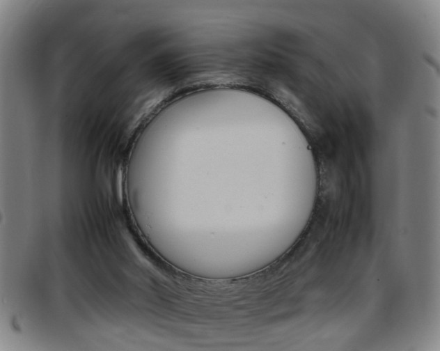 X0000097860014200803140906