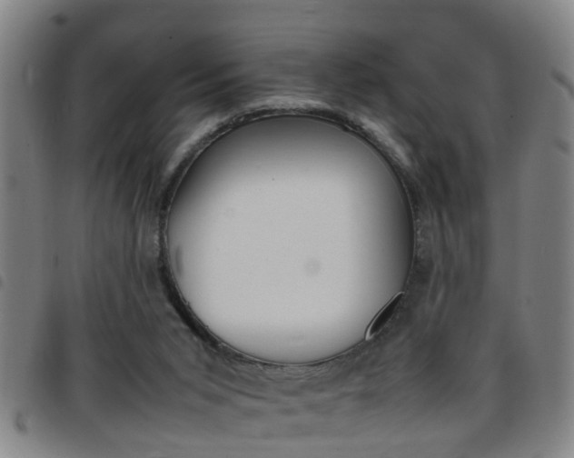 X0000097860015200803140906