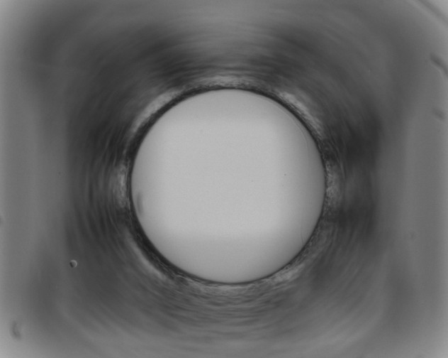 X0000097860016200803140906