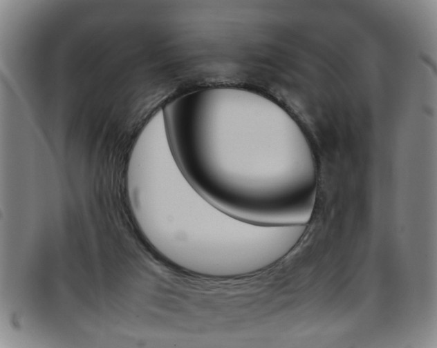 X0000097860017200803140906