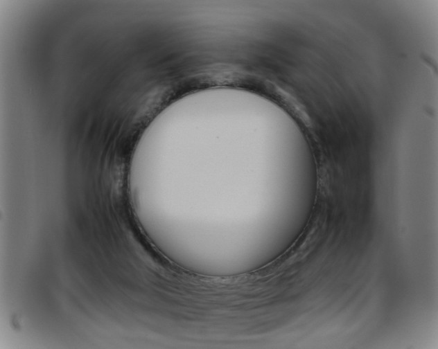 X0000097860018200803140906