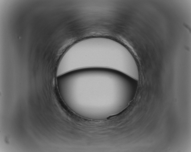X0000097860019200803140906