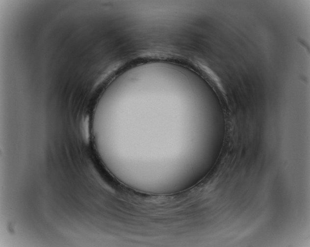 X0000097860020200803140906