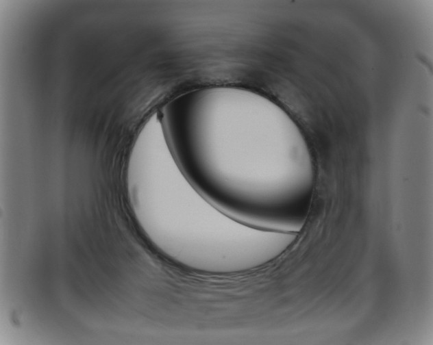 X0000097860021200803140906