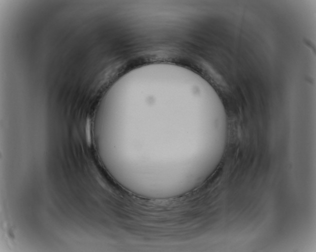 X0000097860022200803140906