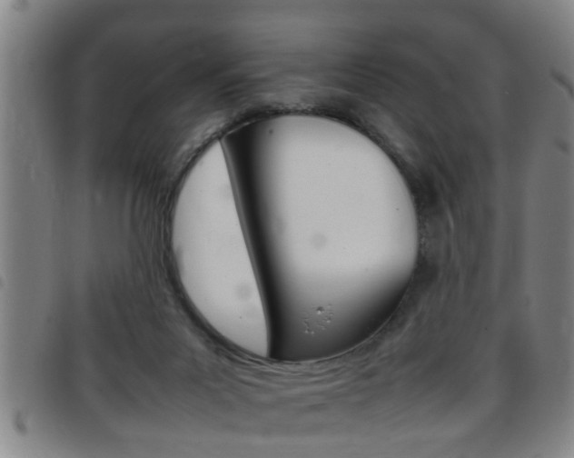 X0000097860023200803140906