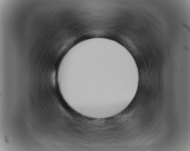 X0000097860024200803140906