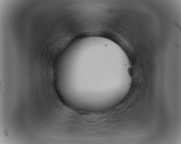 X0000097860025200803140906