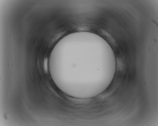 X0000097860028200803140906