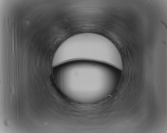 X0000097860031200803140906