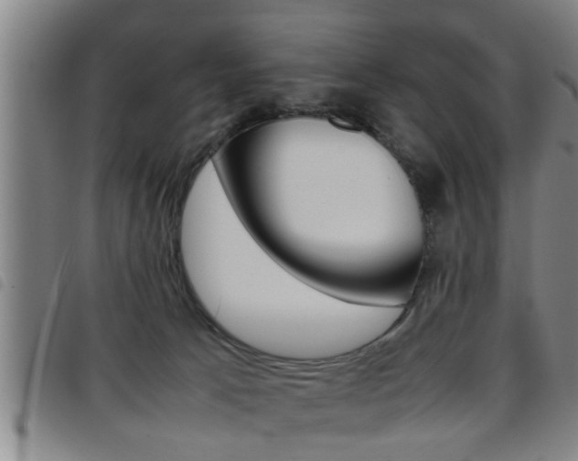 X0000097860033200803140906