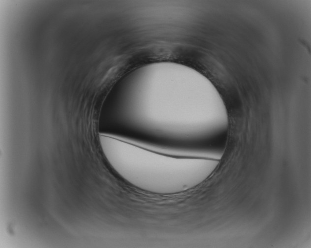 X0000097860035200803140906