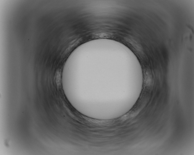 X0000097860036200803140906