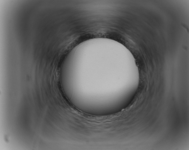 X0000097860037200803140906