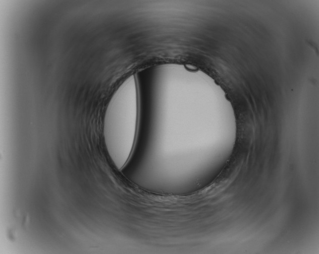 X0000097860040200803140906