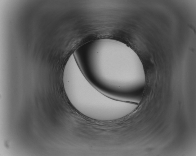 X0000097860041200803140906