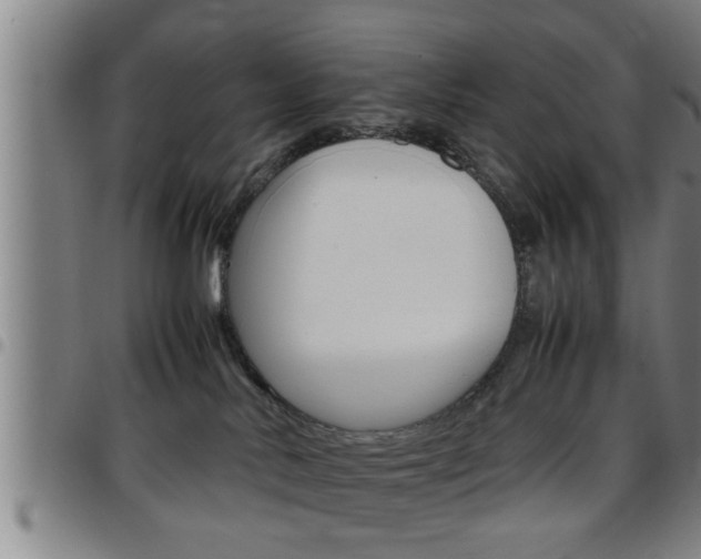 X0000097860042200803140906
