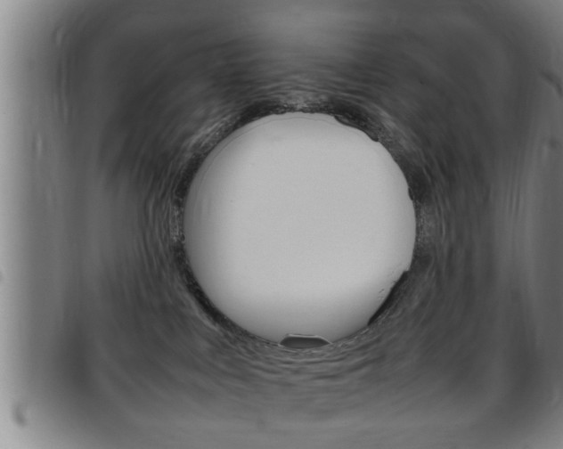X0000097860043200803140906