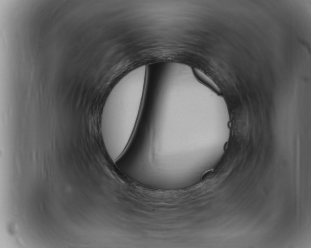 X0000097860044200803140906