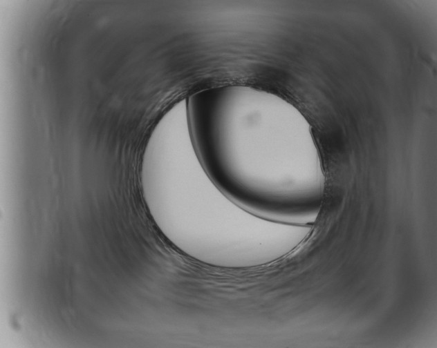 X0000097860045200803140906