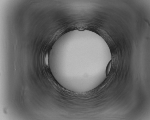 X0000097860046200803140906