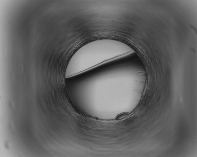 X0000097860048200803140906