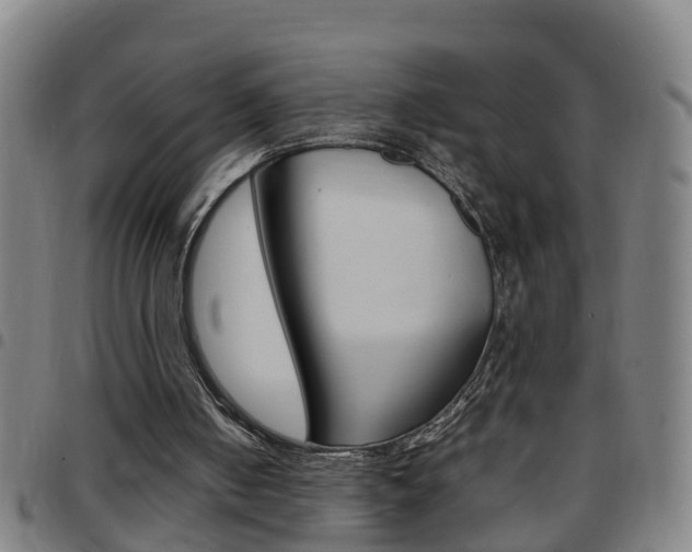X0000097860050200803140905